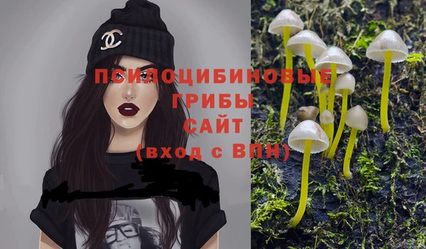 бутират Алексин