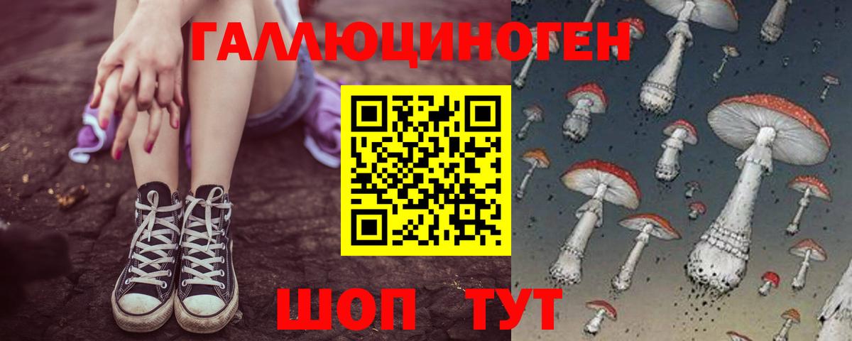 Богородск  Псилоцибиновые грибы GOLDEN TEACHER  Вход с VPN 